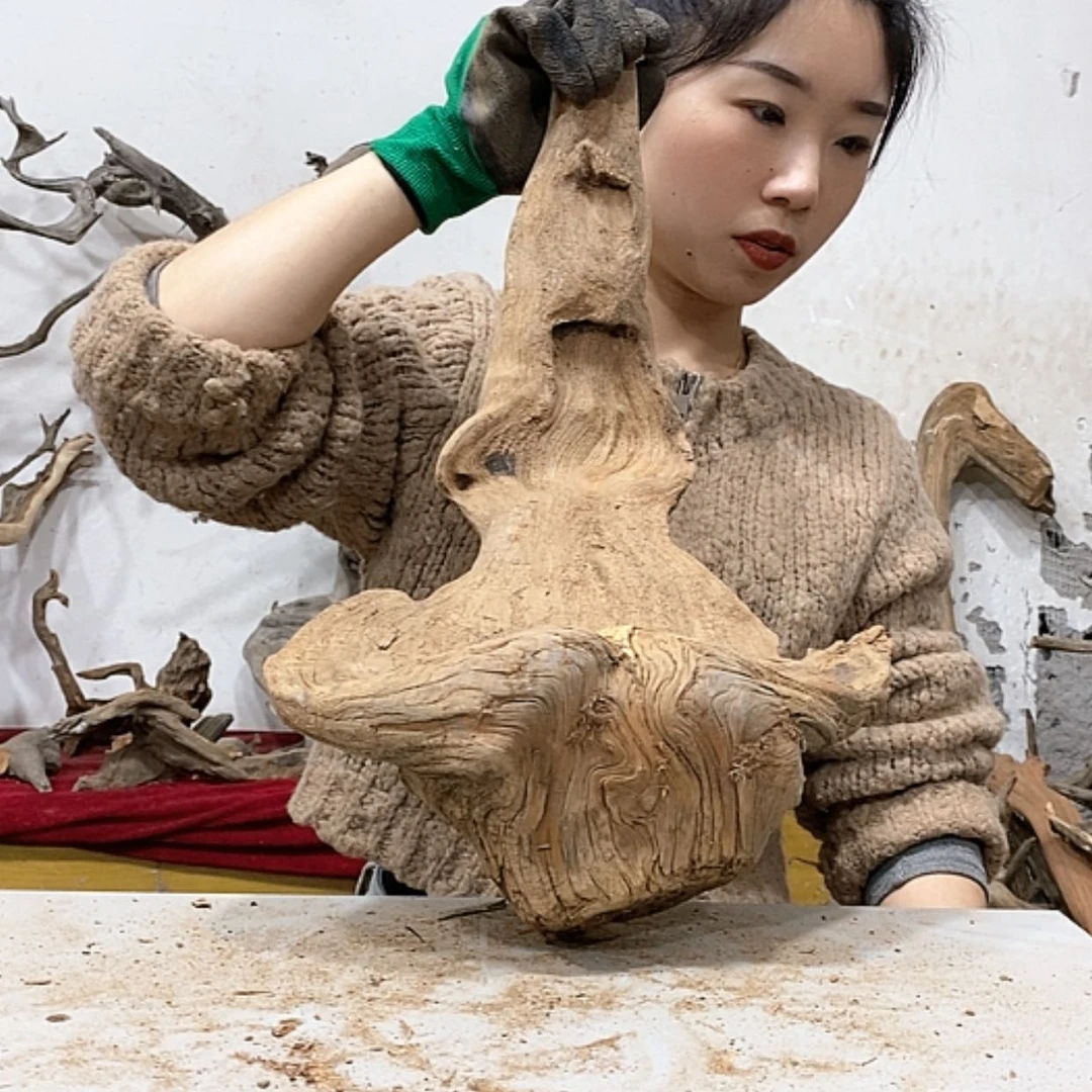 【闪购商品】柏木山****王我们都是好孩子