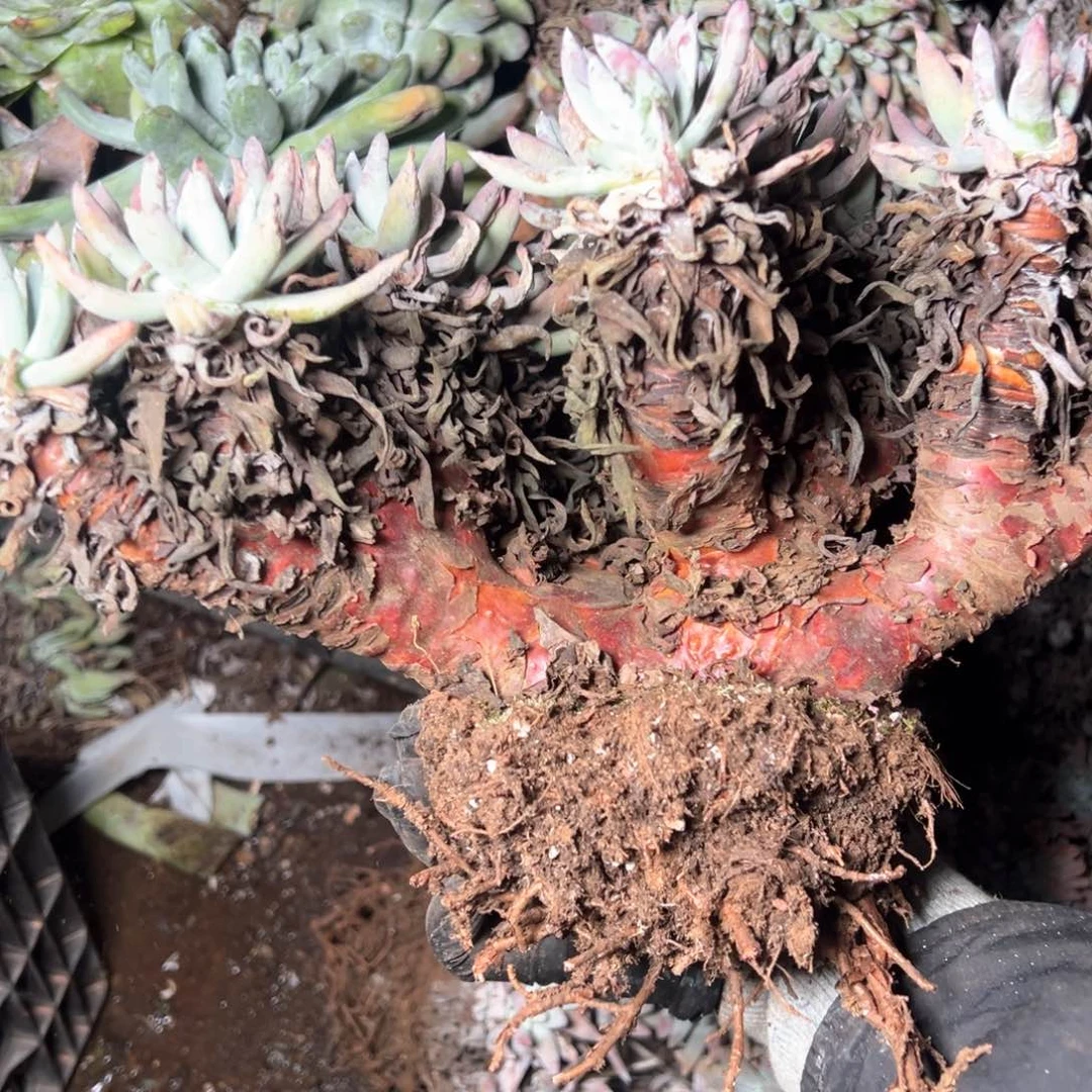 5834哈哈哈哈哈哈哈哈哈