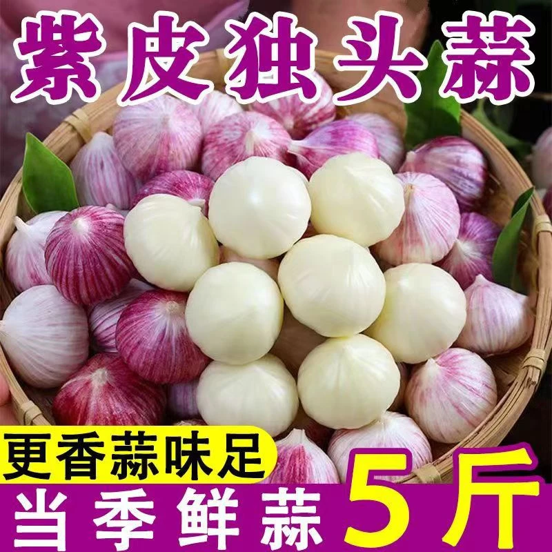 【十足干】2025紫皮独头蒜新鲜大头蒜红皮农家大独瓣蒜头批发独蒜