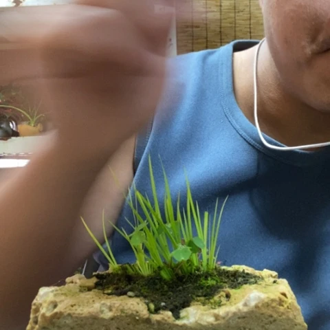 红陶一物一拍所见即所得110
