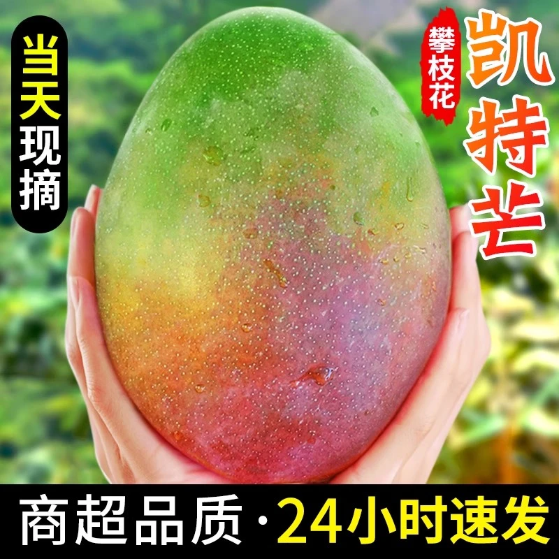 【到手8.5斤】四川攀枝花凯特芒果新鲜水果当季整箱包邮特大青芒