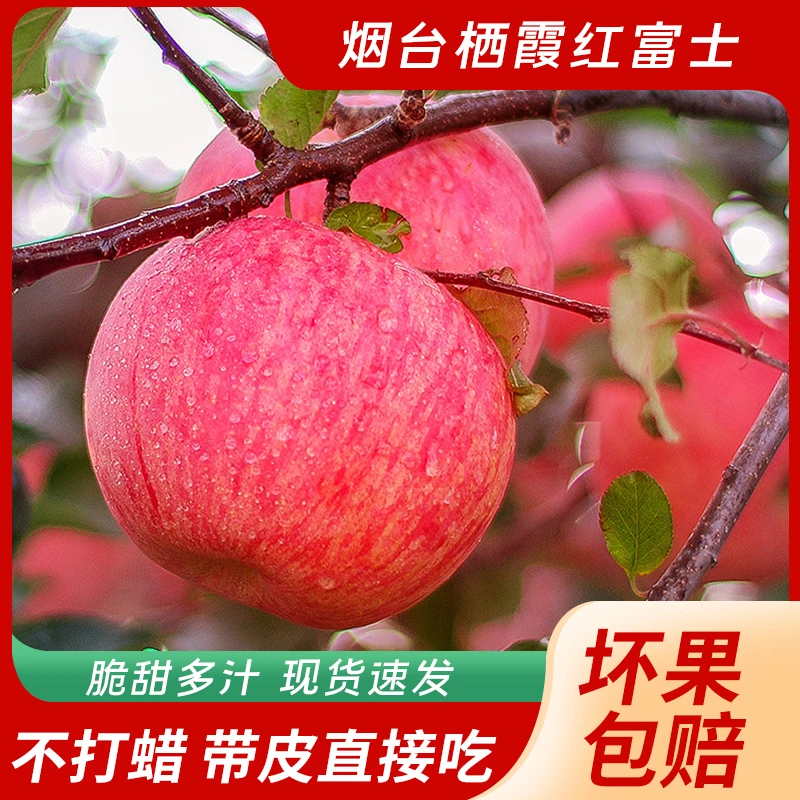 【次果不包售后】昂林苹果脆甜多汁新鲜营养产地直发