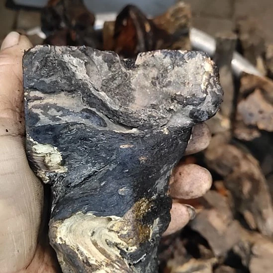 8***6木太行山沉化麻梨疙瘩随型