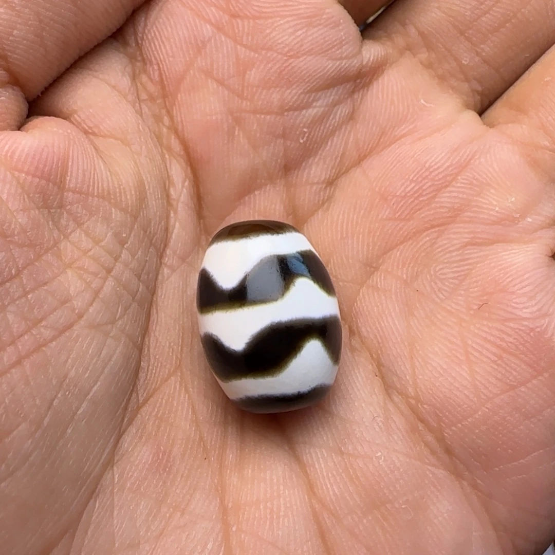 藏系双牙牙的达洛
