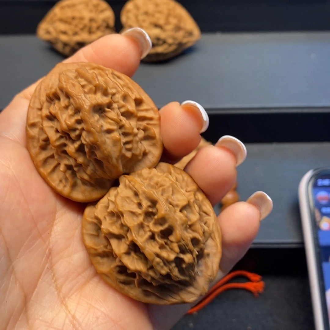 秦岭南风雨兼程地开展