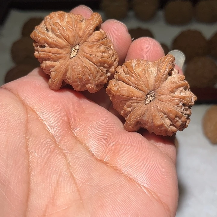 *****木41血麒麟图。