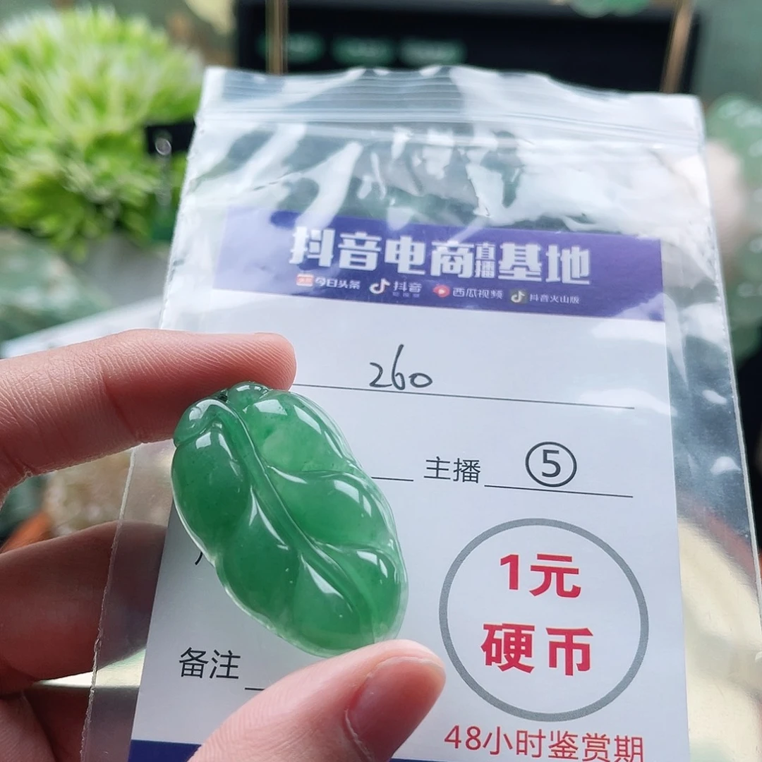 石英质玉未镶嵌颈饰