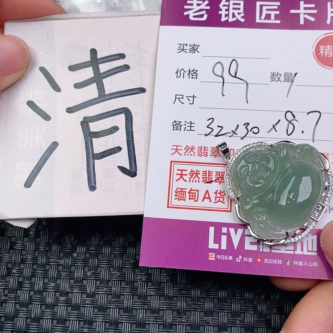 翡翠银S925镶嵌颈饰