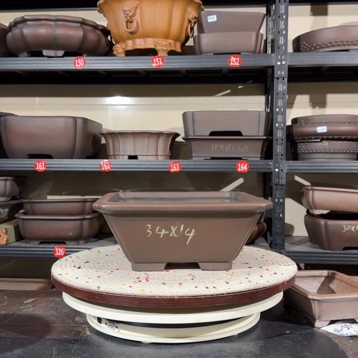 花盆紫砂呜呜呜我的宝子