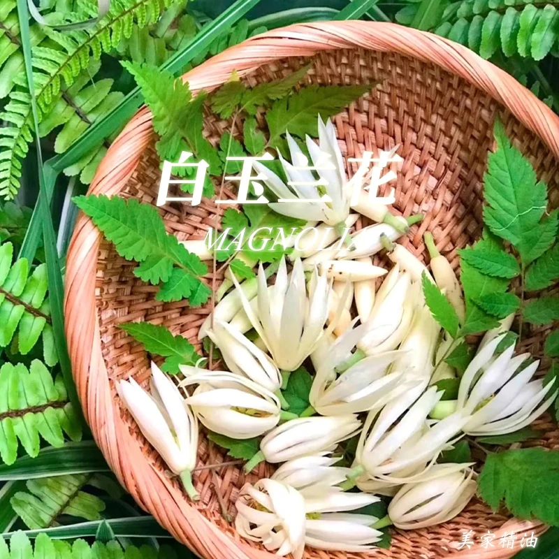 白兰花眼油30ml复配