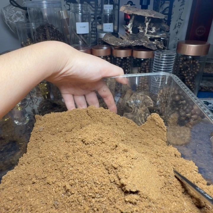 其他贝壳沉水粉老料100克