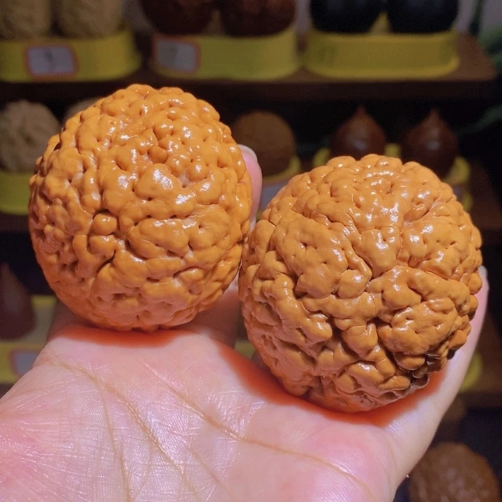 野生三瓣脑纹大金刚4855