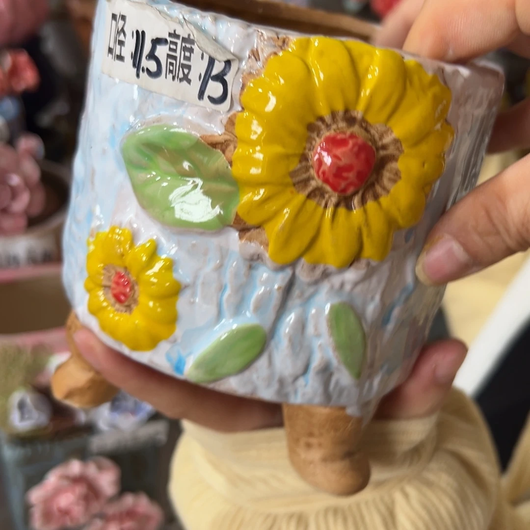 多肉花盆，满20发货爱退款拉黑