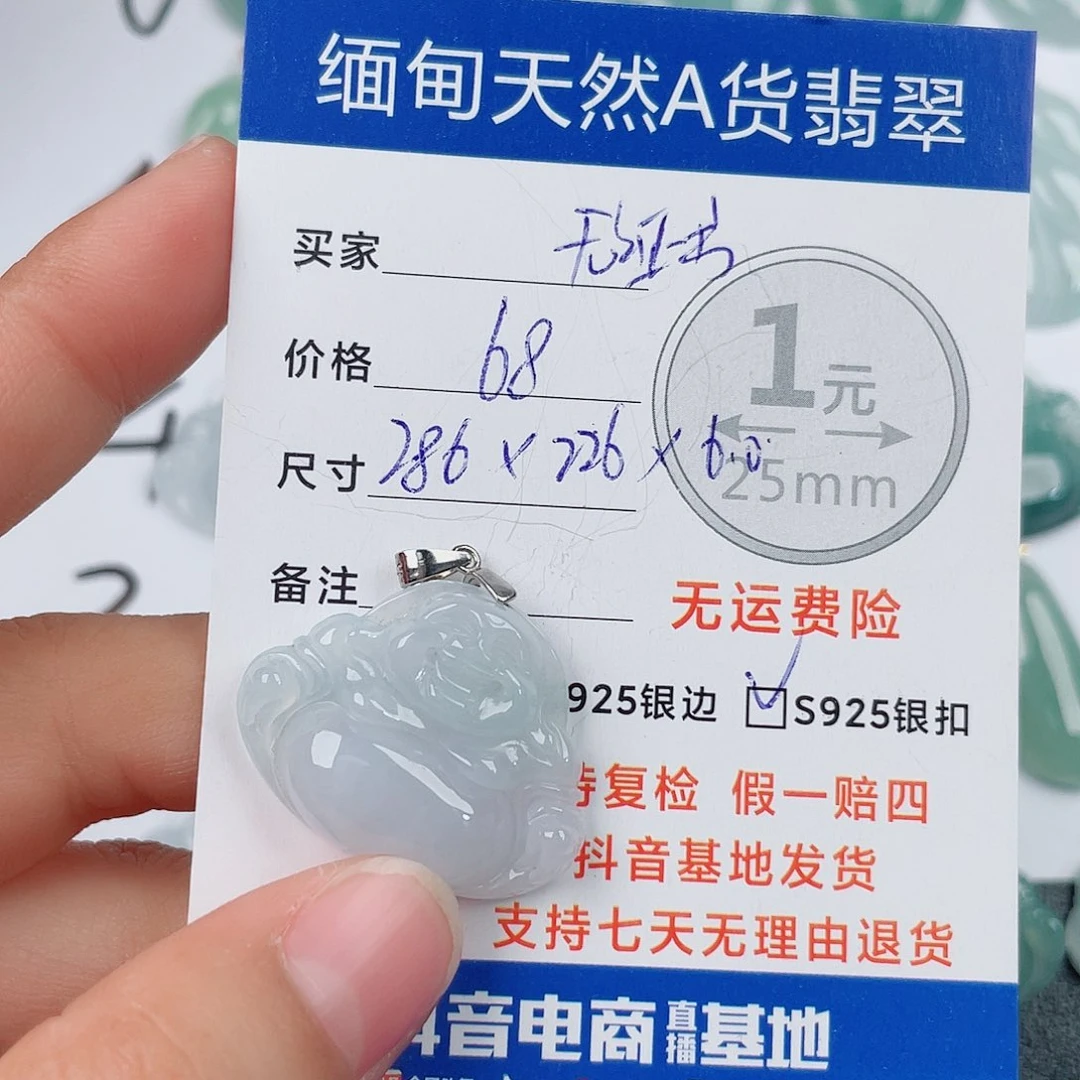 翡翠银S925镶嵌颈饰翡翠