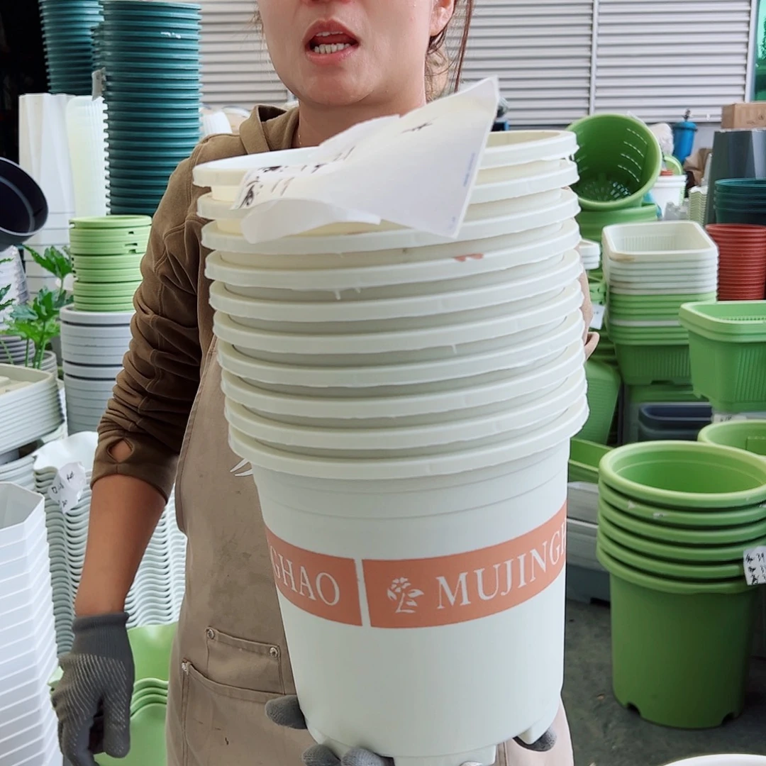 瑕疵2加仑米白色10个无托