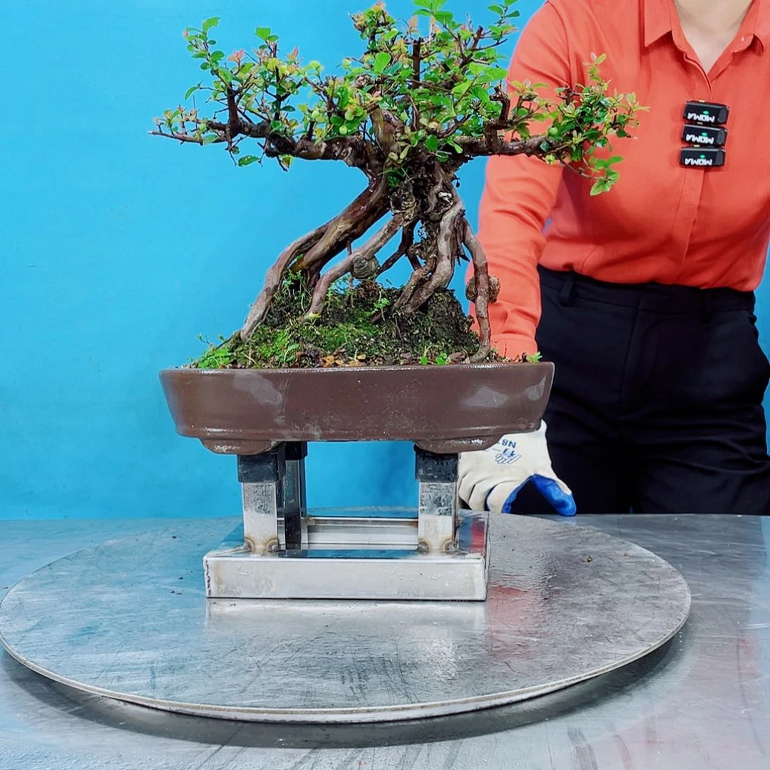 无铅玻璃岭南文化艺术学艺术