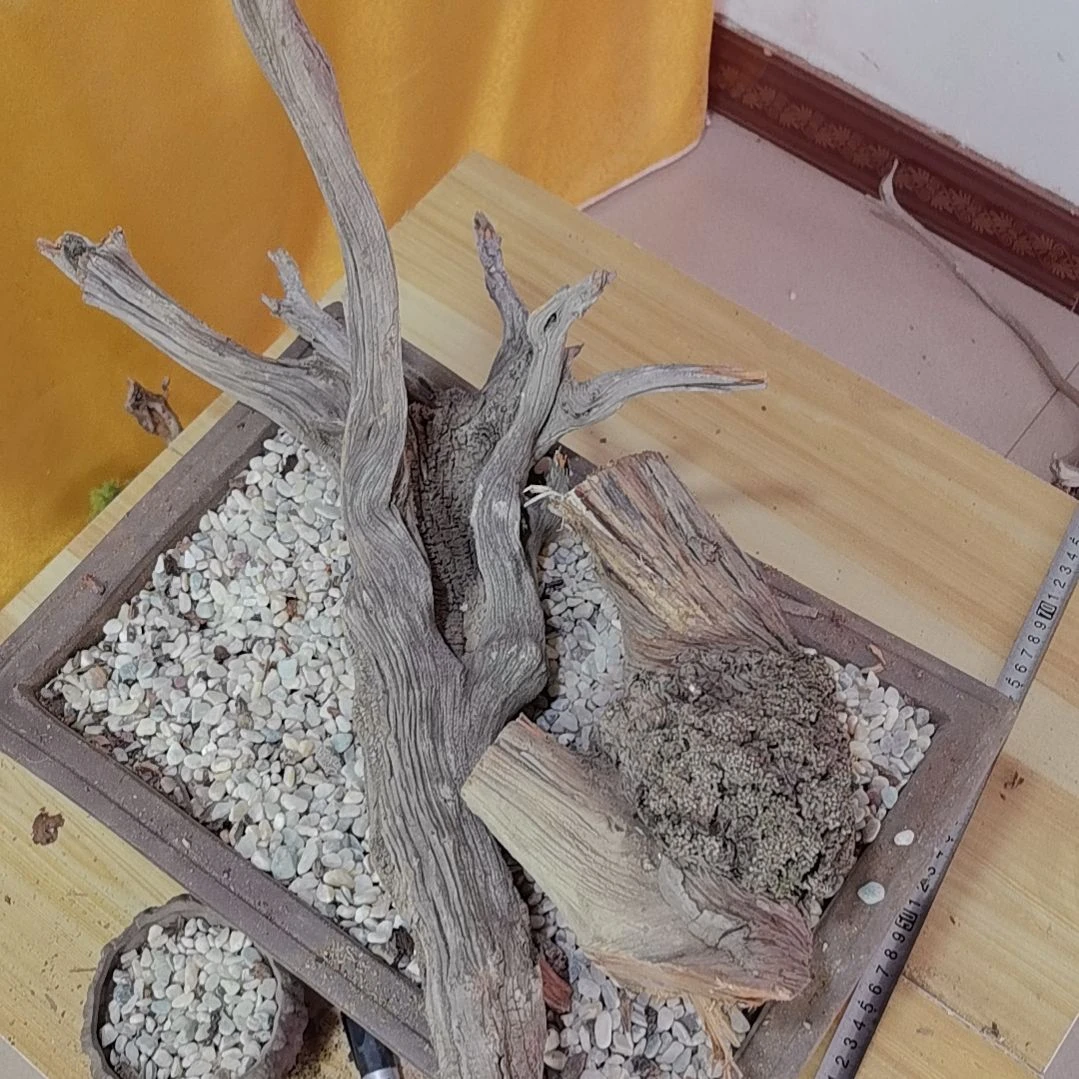 檀香紫檀（小叶紫檀）卢*满