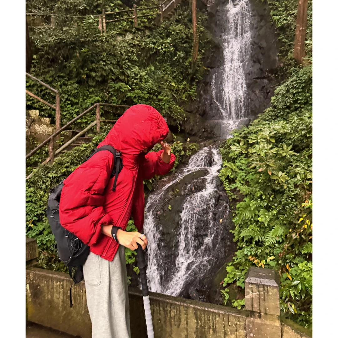 Janie Yee“高端线紫标·奶包”连帽 90白鹅绒短款羽绒服女 25A3399