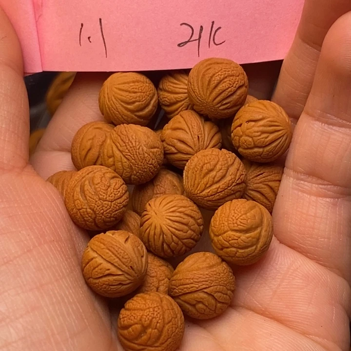 桃核吊坠秦岭龙纹桃核11尺寸