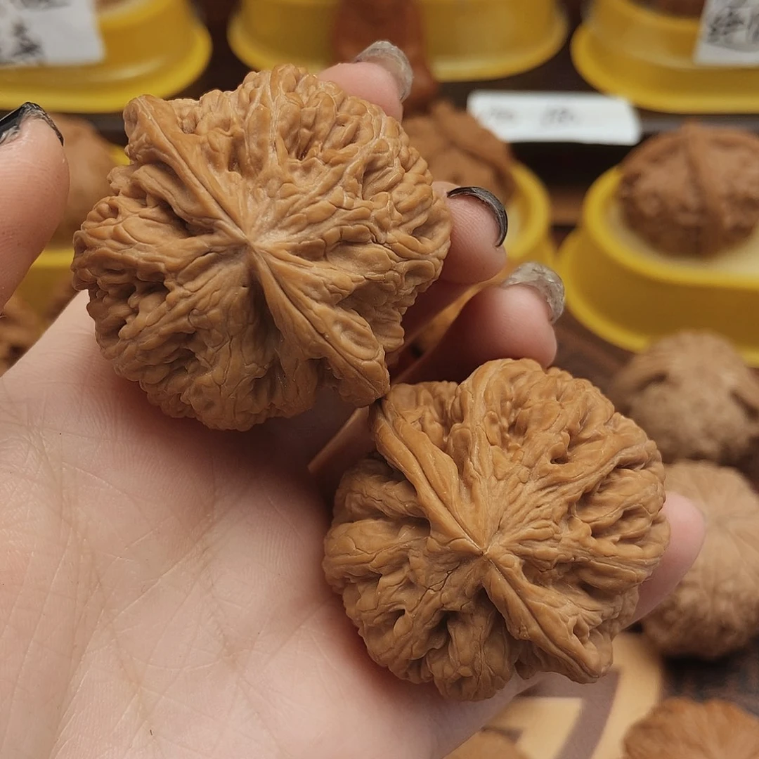 把件文玩核桃豆**王42全品粗筋