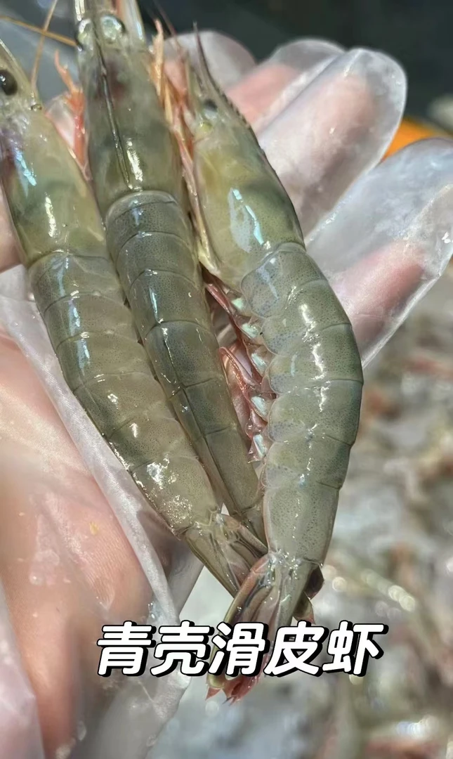 东海野生海捕滑皮虾剑虾金钩虾（中号）3斤顺丰包邮