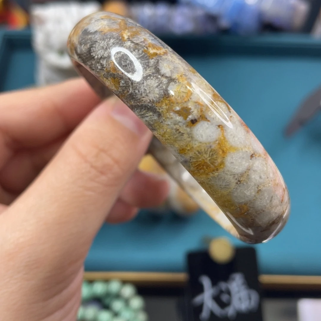 未镶嵌手镯硅化玉