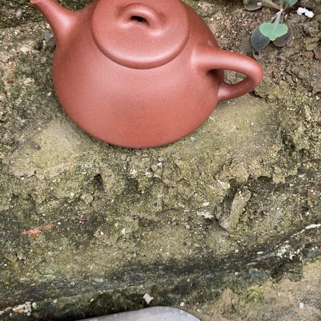 茶壶紫砂dfghnnnkmm