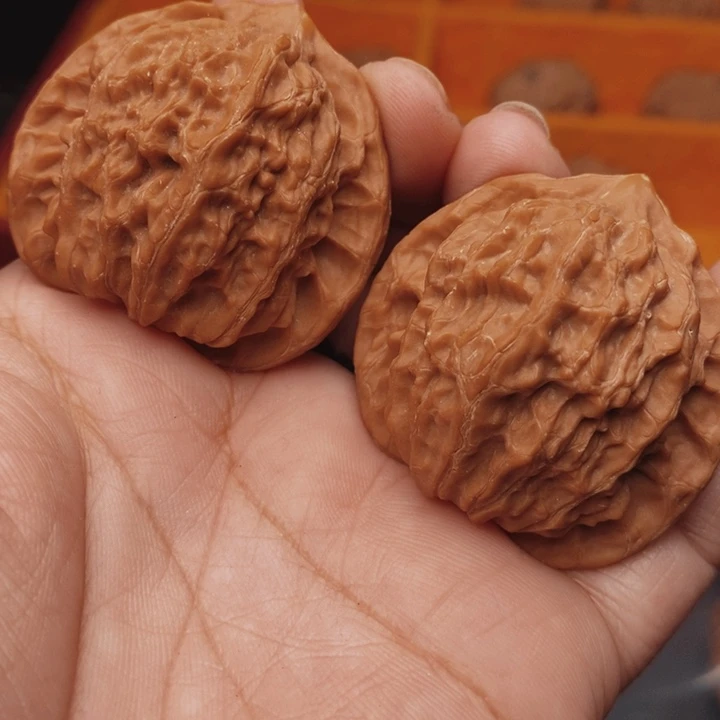 核桃公子帽41尺核桃