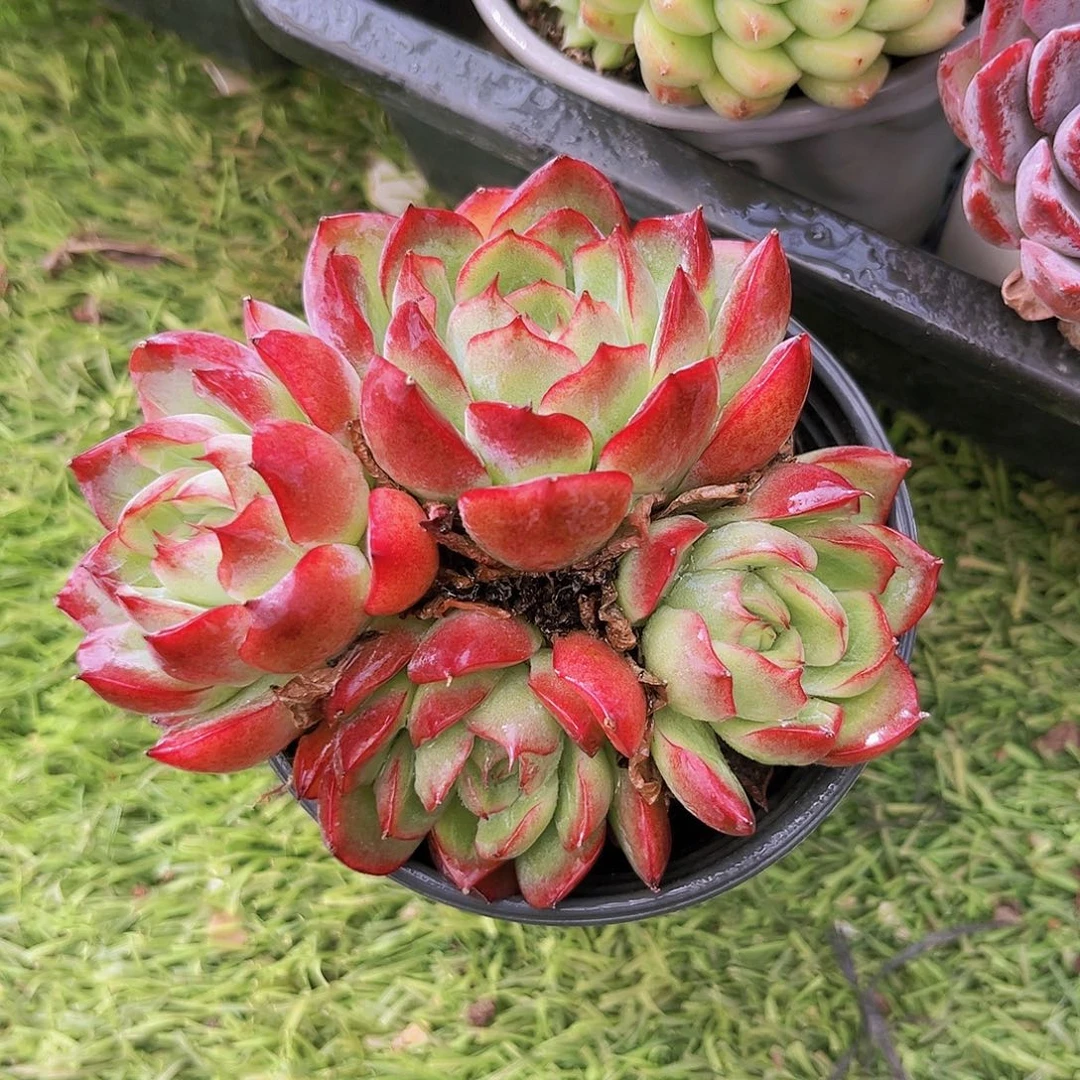 99999999999999999999999