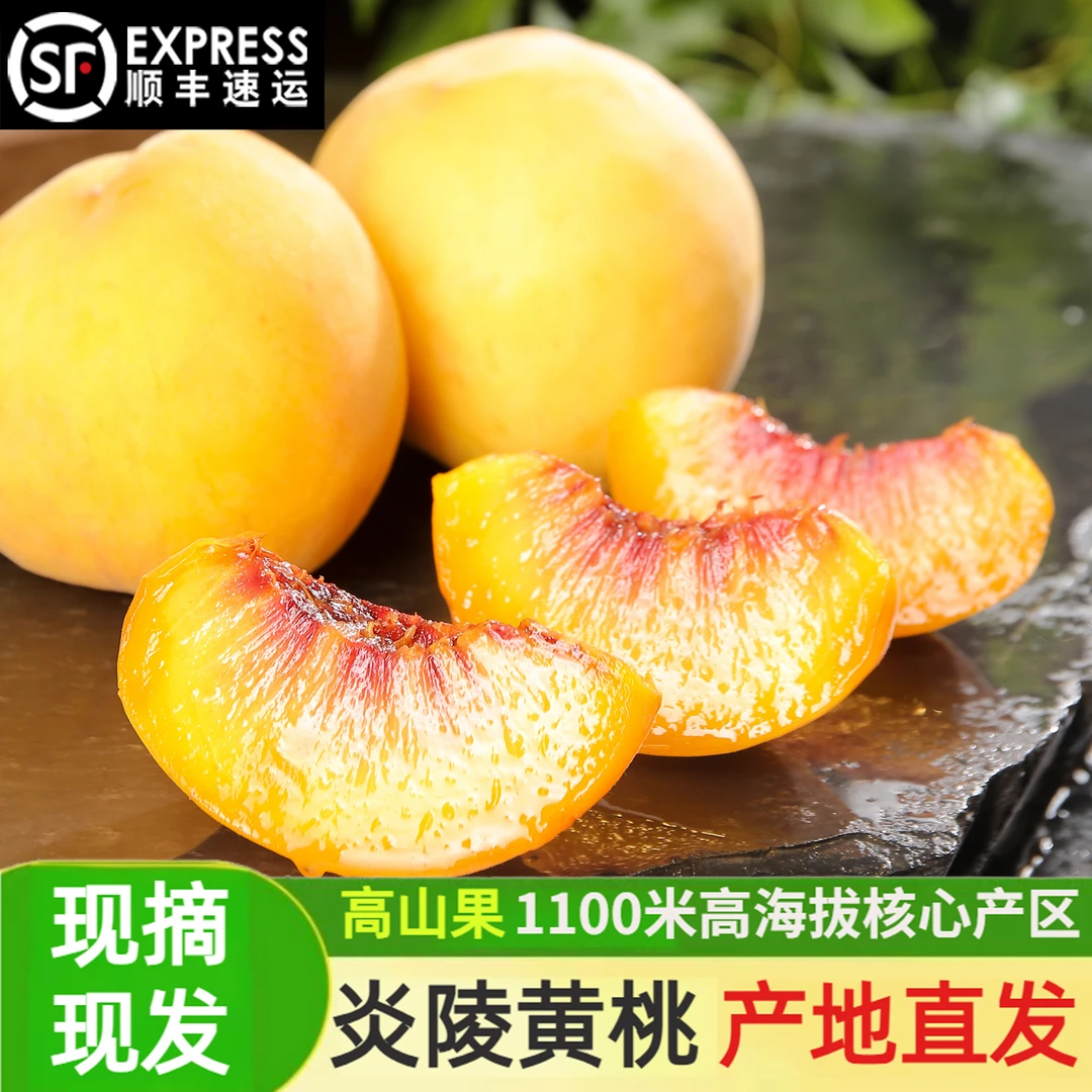 【正宗炎陵黄桃】红心黄桃高山果园新鲜现摘甜脆多汁礼盒装