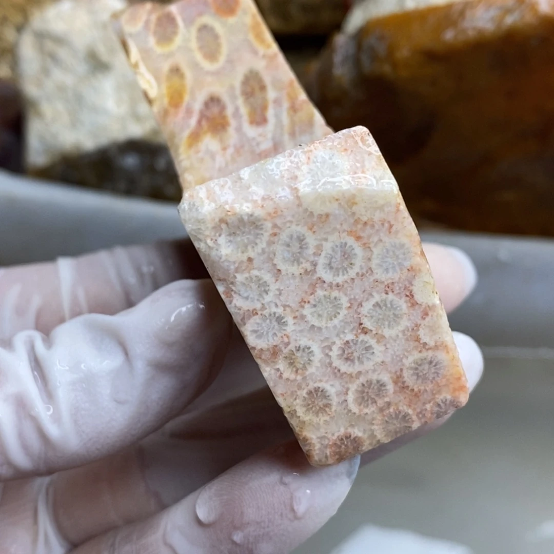 【闪购商品】硅化玉珊瑚玉未镶嵌