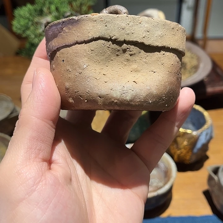 一盲引众盲 相继入火坑