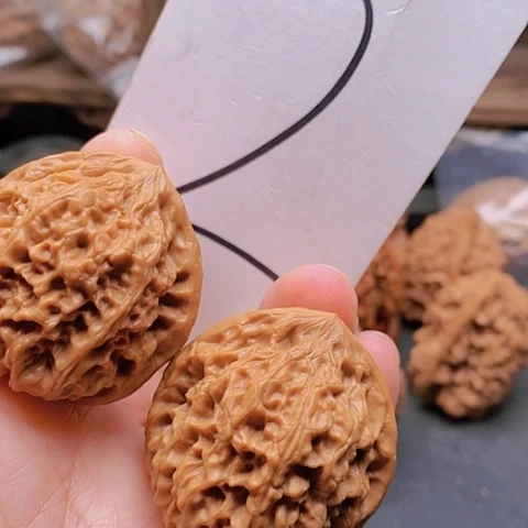 吊坠桃核37野牛核桃