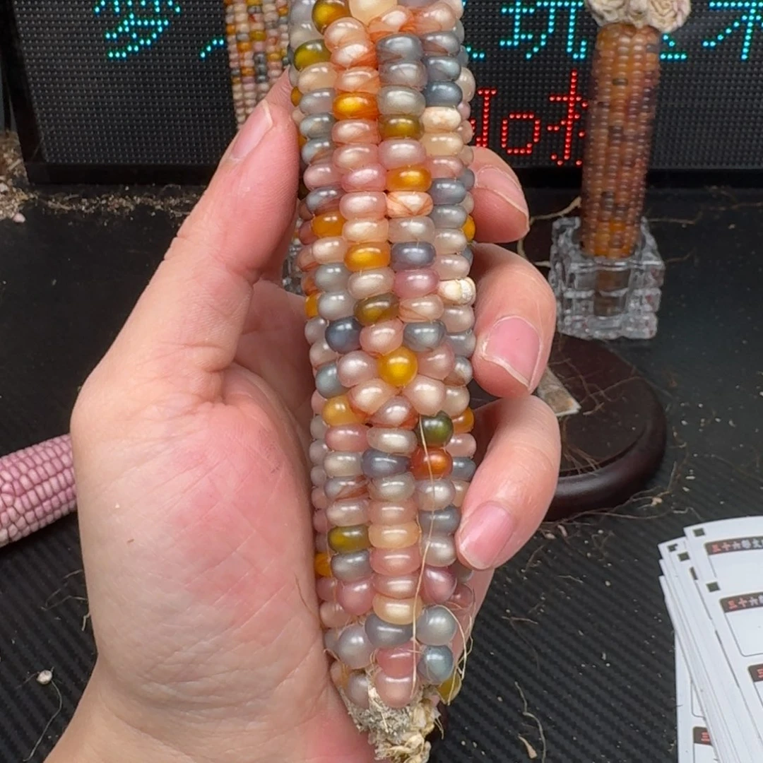 柏香籽/百香籽吊坠M****r