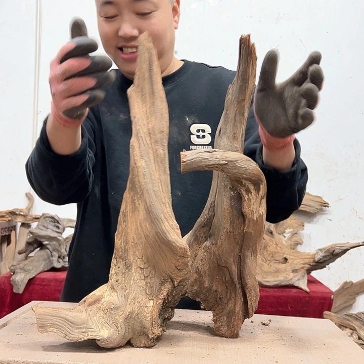 柏木孤*我们的生活也是如此的丰富多彩