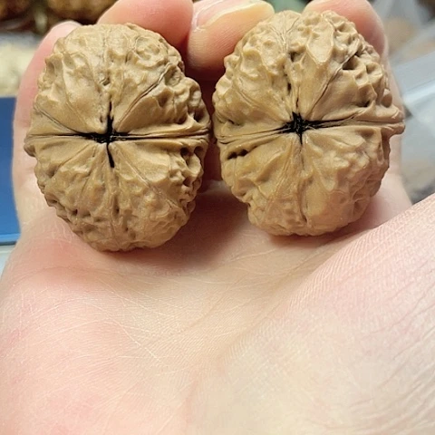 文玩核桃把件肉丸子带彩41