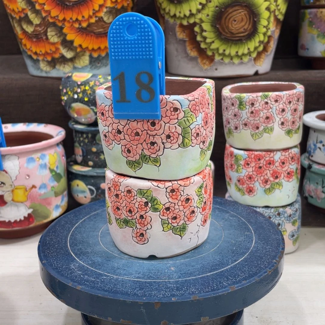 童***籍多肉花盆小方盆