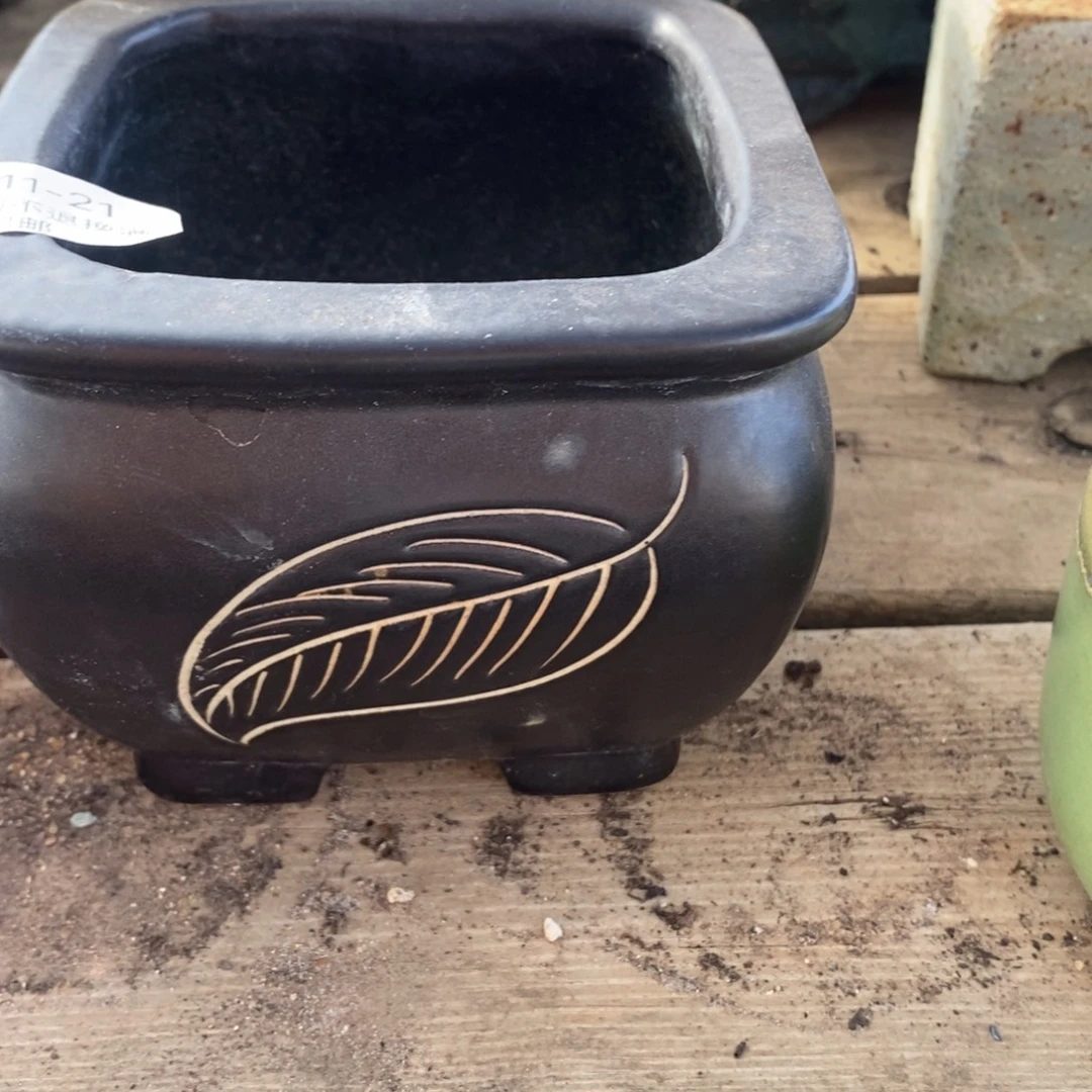 21号多肉盆口径9高9