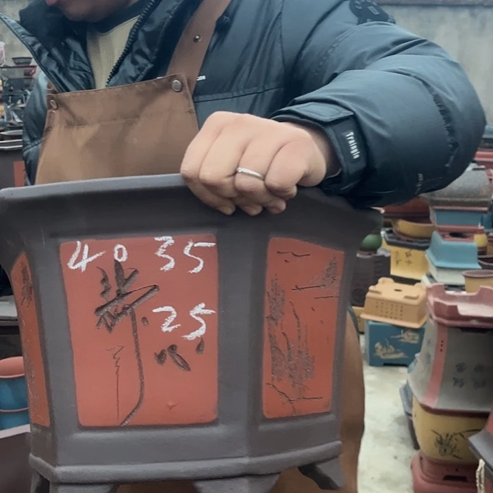 紫砂紫砂花盆盆栽