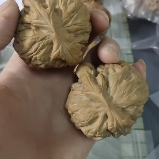 文玩核桃把件文玩核桃龙鼎 一只微修