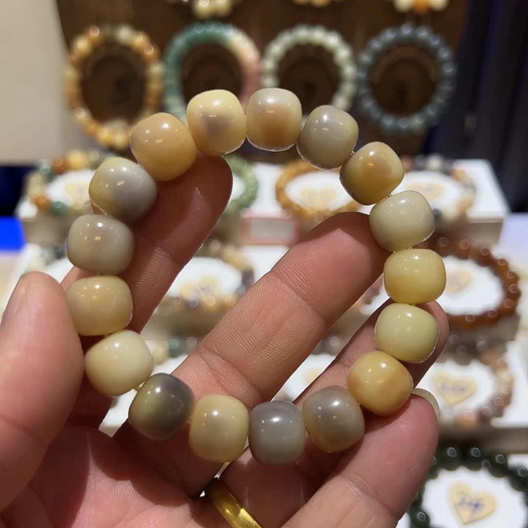 吊坠菩提根/象牙果