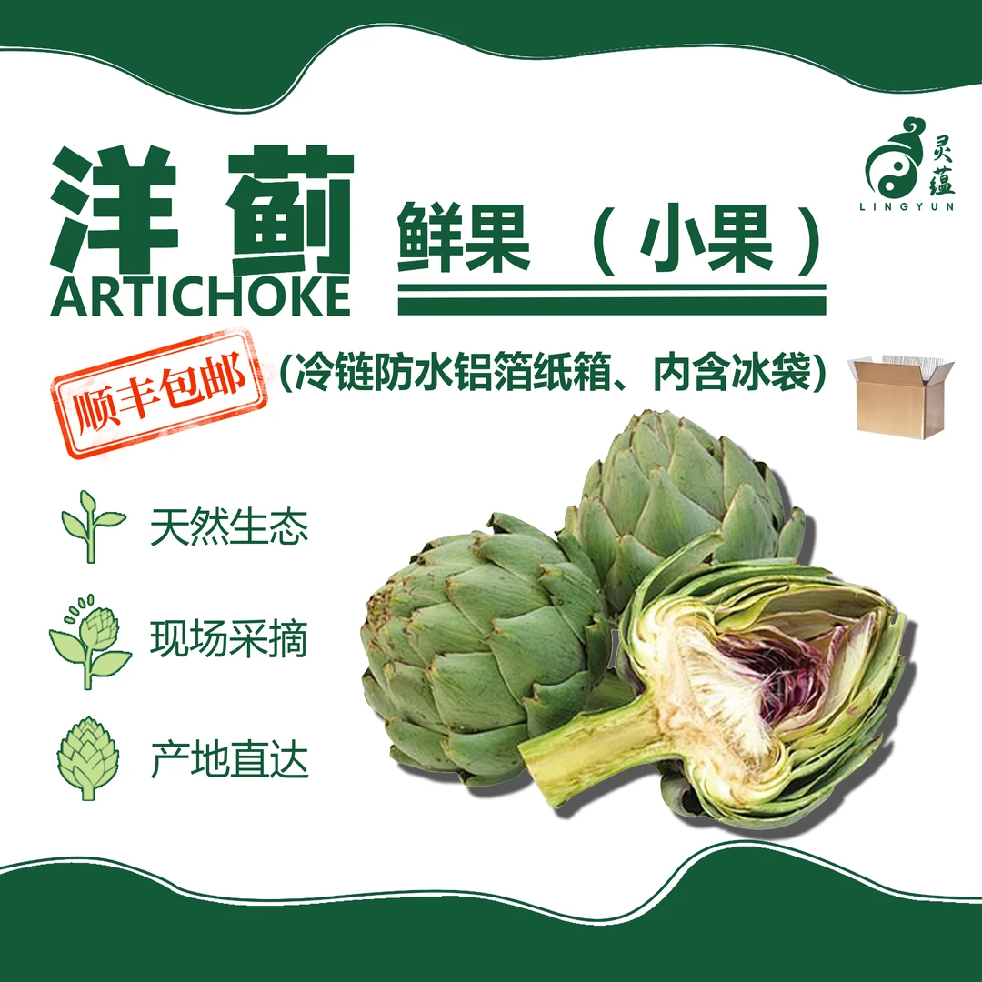 【图帕卡Tupac小果】新鲜洋蓟朝鲜蓟菜蓟中国源头千亩基地现摘现发
