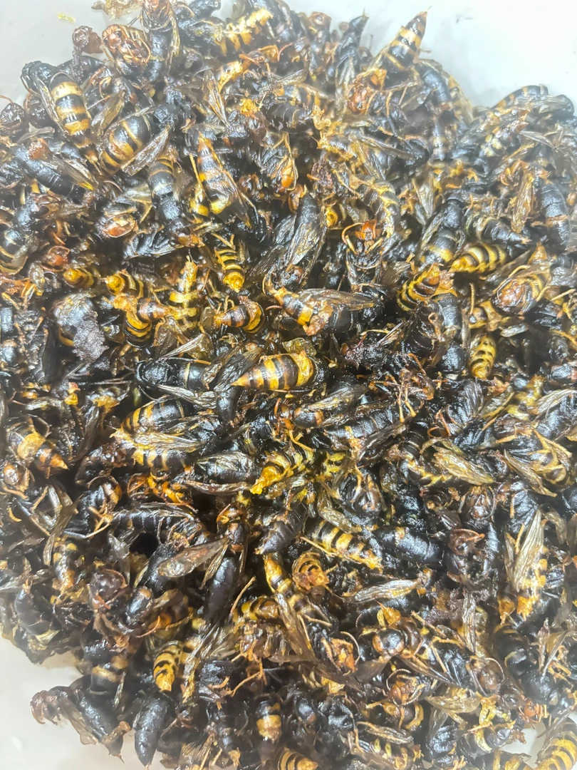 4级老蜂香脆无内脏2025新鲜纯菜籽油油炸蜂蛹