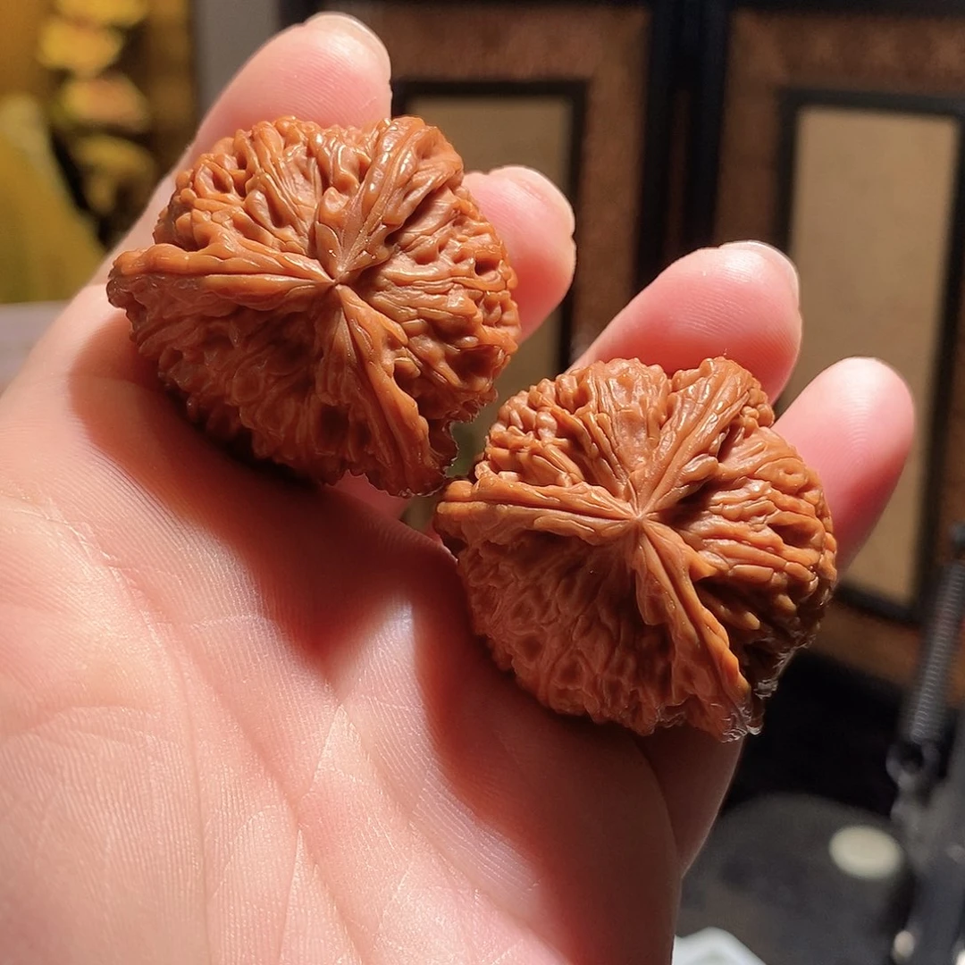 文玩核桃把件宿*40白奔