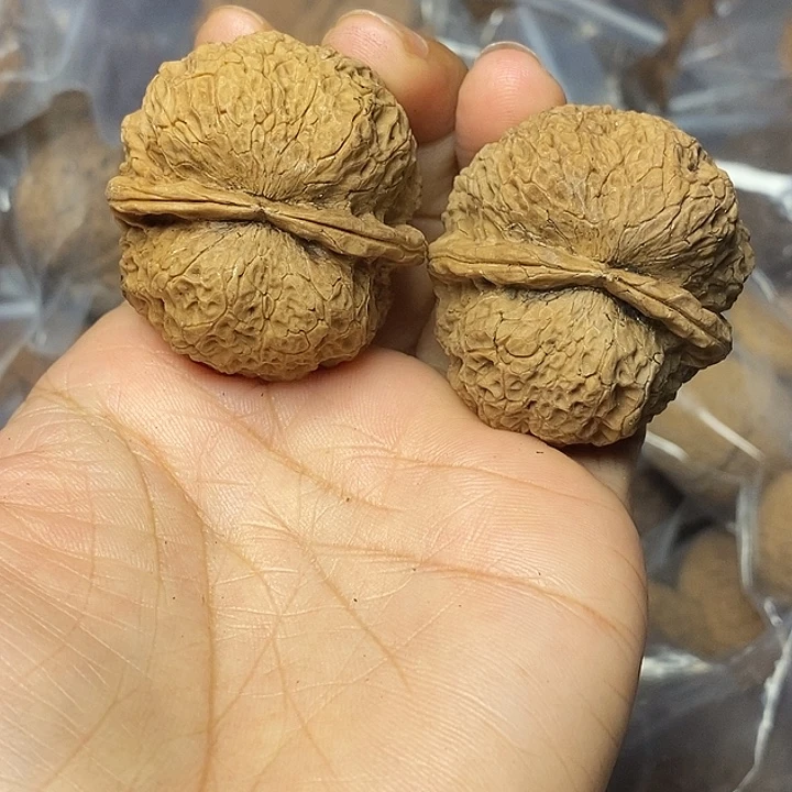 文玩核桃把件云南铁核桃7