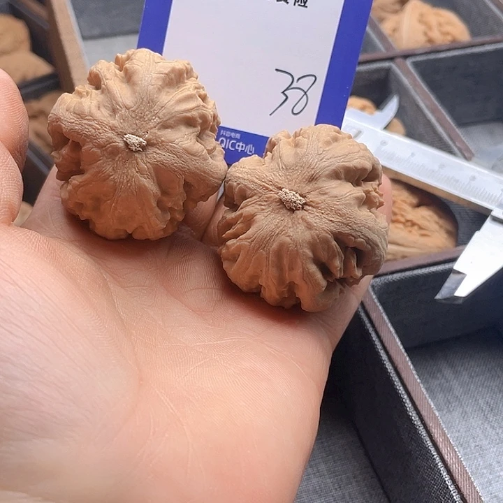 文玩核桃把件芷****7文玩38
