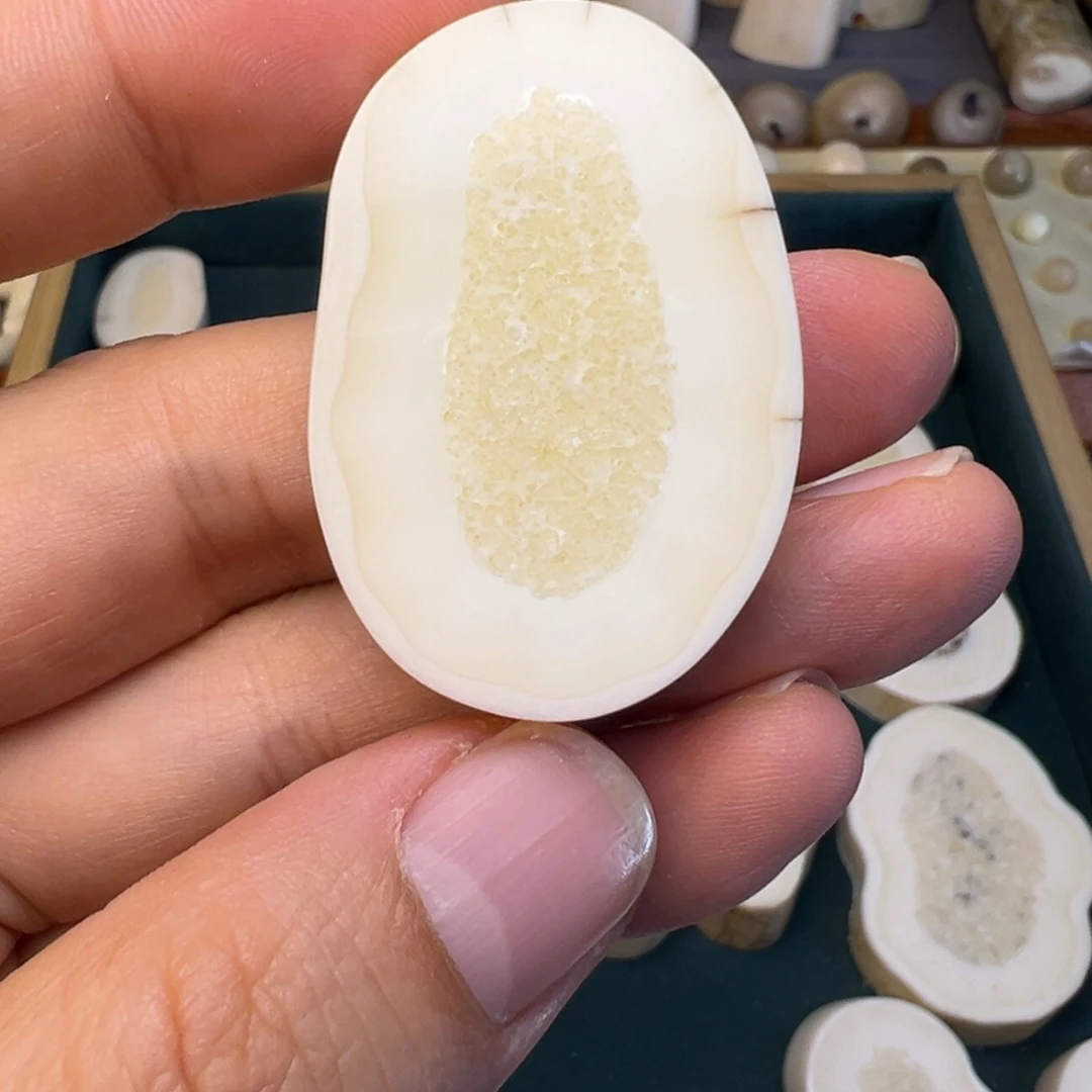 興***树脂制品海胖原切饼子重20.8左右