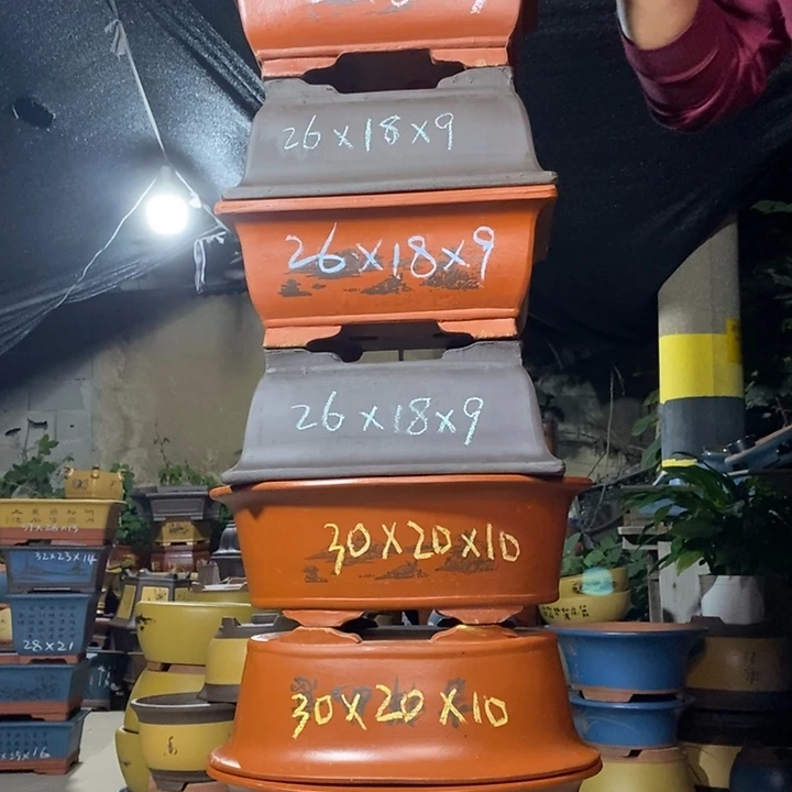 紫砂紫砂紫砂紫砂