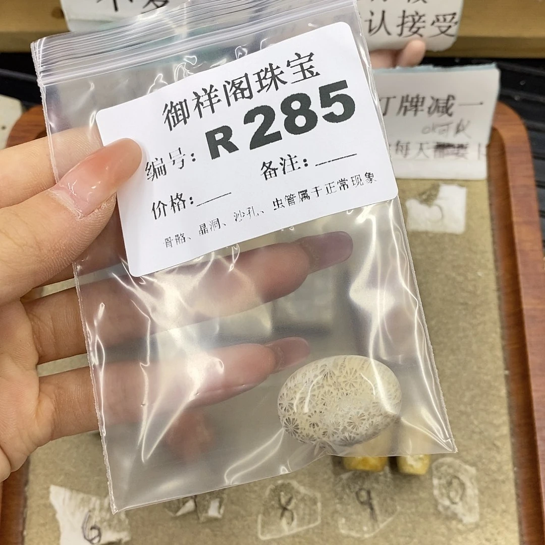 硅化珊瑚（珊瑚玉）未镶嵌颈饰扶*
