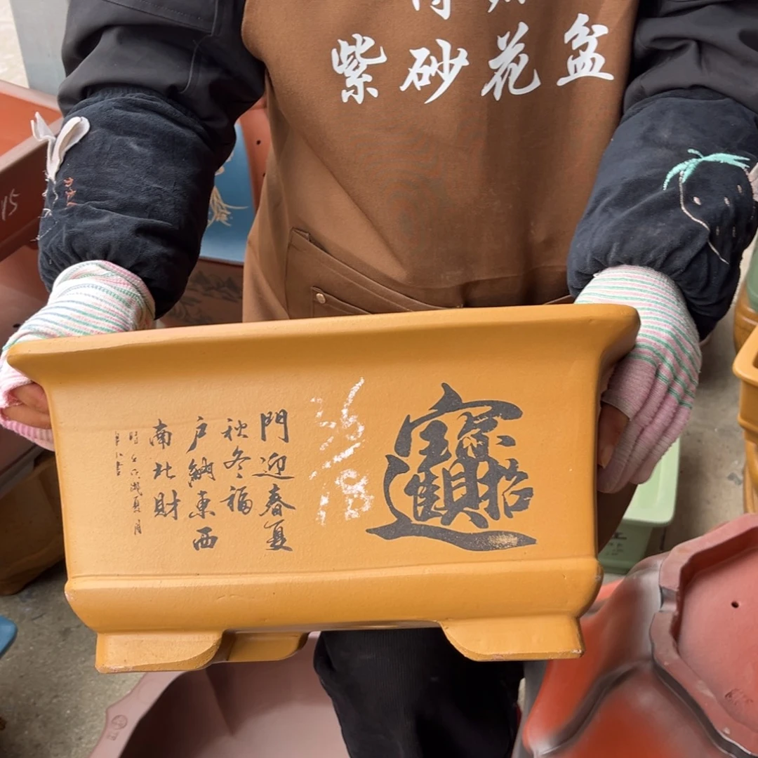 花盆紫砂盆景艺术